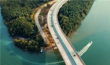 属兔的历史名人有哪些