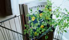 巨蟹座为什么总是单身