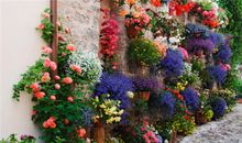 天蝎座的心灵成长课程