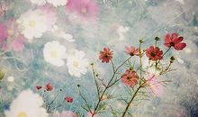 双鱼座的心灵成长课程