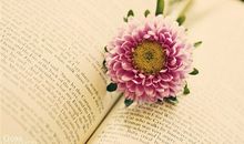 射手座的心灵成长课程