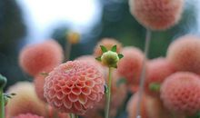 摩羯座的心灵成长课程