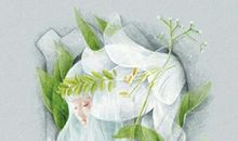 天蝎座彻底放弃一个人是什么样子