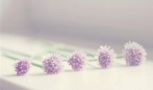 白羊座的心灵成长课程