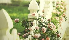 巨蟹座的心灵成长课程