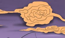 天秤男最想带啥星座女上床