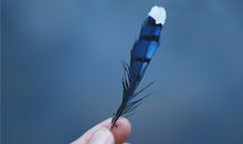 双子座的心疼谁能懂