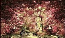 狮子座的心灵成长课程