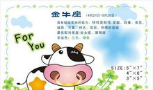 双子座男生不追你的原因