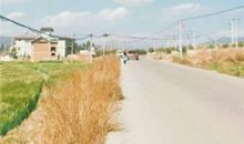 巨蟹座会纠结一整天的事