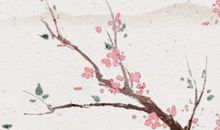 十大诅咒之花的花语 寓意 含义