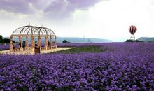 当你跟着水瓶座一起去旅行