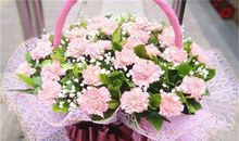 巨蟹座代表的花