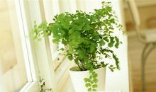 天秤座的心疼谁能懂