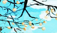 风象星座的性格特点