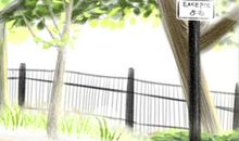 十二星男梦寐以求的性感美国女