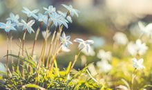 当你发给巨蟹座前任“问你个问题”