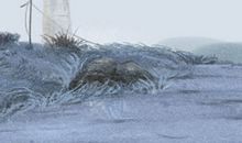 12星座幸福的必要条件