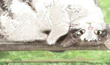 水瓶座的努力为什么总是白费