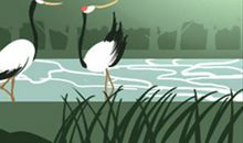 探索巨蟹座的传说