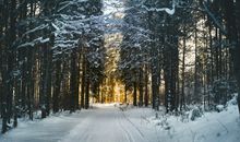 巨蟹座的幸运日是哪一天