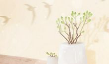 闲的蛋疼，这些星座喜欢把密码设置的那么长