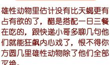 惹不起！最疑神疑鬼的星座男