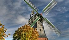 摩羯座会纠结一整天的事