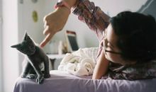 猫石对话2018年运势