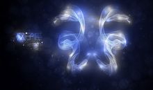 双子男会选圈钱还是睡女人