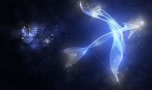 射手男会选圈钱还是睡女人