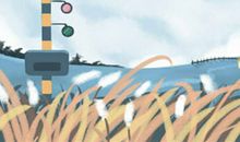 四大血型的独门理财方式大揭秘