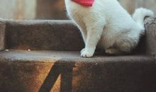 天蝎座喝醉后的表现