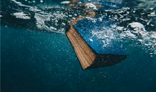 属兔人天生的克星是谁