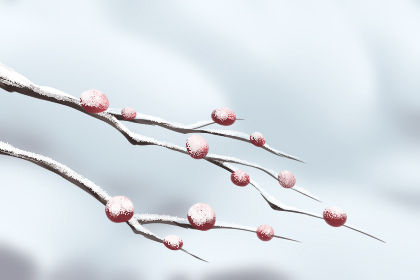 这些女性星座出门时必不可少的物品，它们的口袋里将装有梳子1