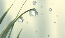 AB型血男人有什么特殊的气质？