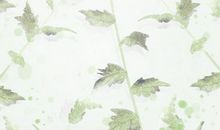以牙还牙 你跟TA计较TA绝不对你大方的星座