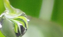 最能同甘共苦的星座分析