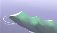 水瓶男是不是你想要的菜