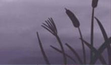 射手座最怕的三件事