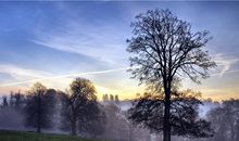 摩羯座在旅途中会为了什么而停留