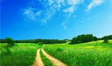 狮子座在旅途中会为了什么而停留