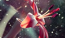 水瓶座卖萌表现