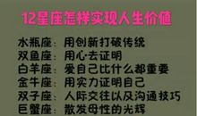 双子座与12星座的关系