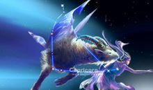 适合摩羯座的最佳婚期