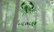 巨蟹座被拐后会如何出逃