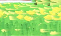最喜欢及时行乐的五大星座