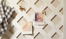 水瓶座的克星星座