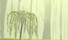 专属十二星座的个性签名