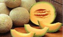 射手座性格象哈密瓜